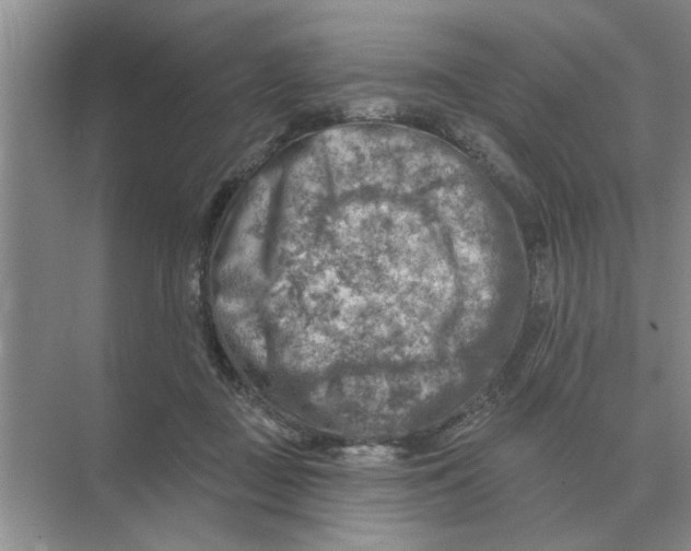 X0000074340363200609230124