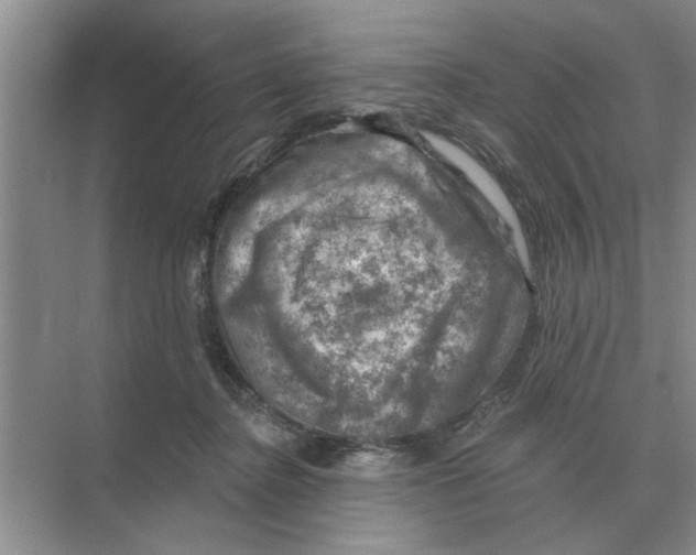 X0000074340364200609230124