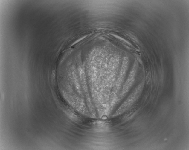 X0000074340365200609230124