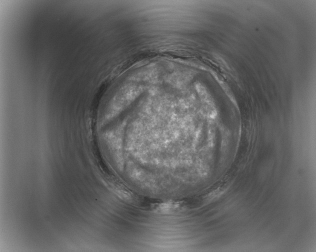 X0000074340366200609230124