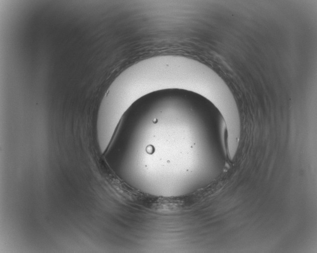 X0000074340368200609230124