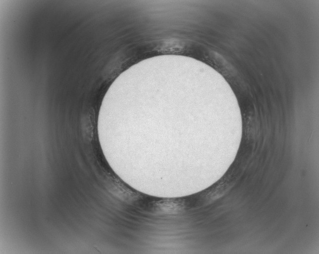 X0000074340370200609230124