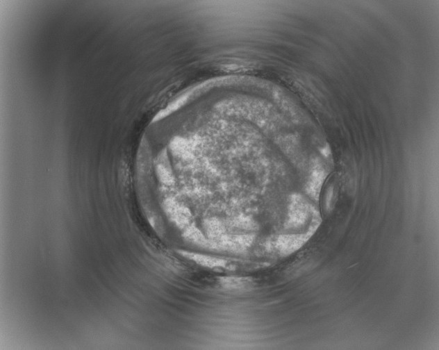 X0000074340371200609230124