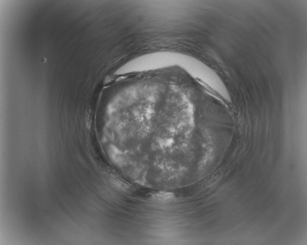 X0000074340374200609230124