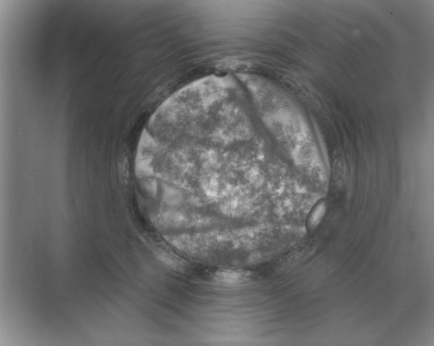 X0000074340375200609230124