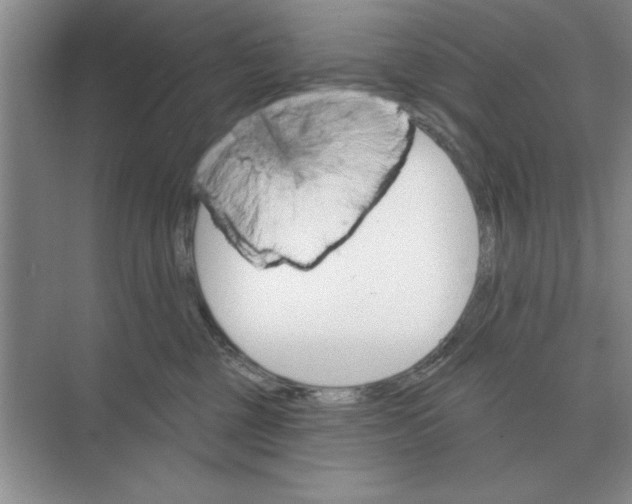 X0000074340377200609230124