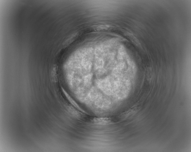 X0000074340378200609230124