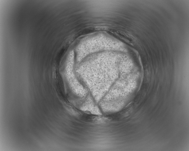 X0000074340379200609230124