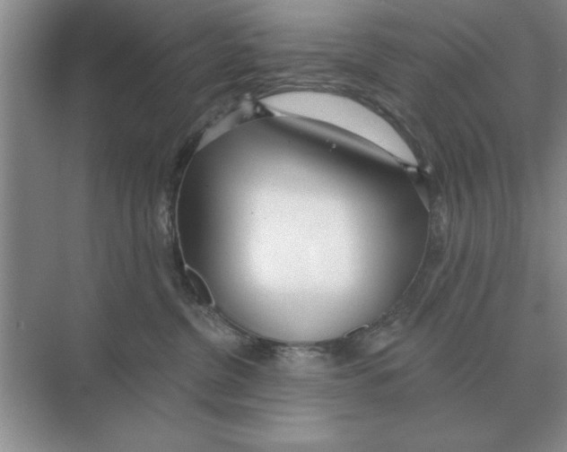 X0000074340380200609230124