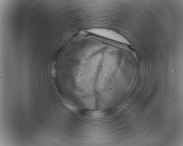 X0000074340383200609230124