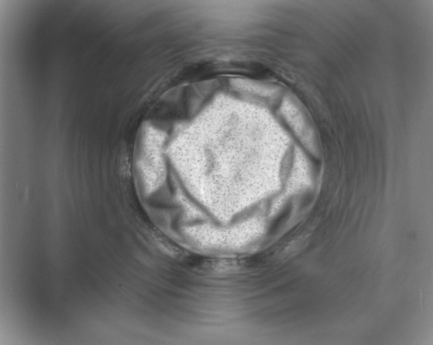 X0000074340384200609230124