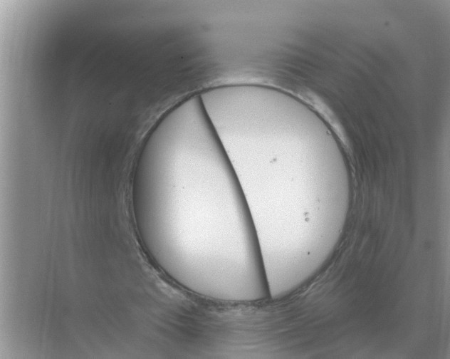 X0000074340385200609230124