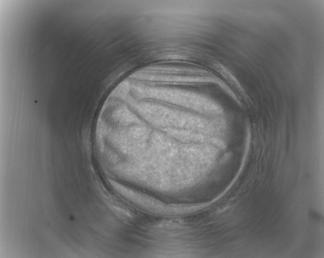 X0000074340386200609230124