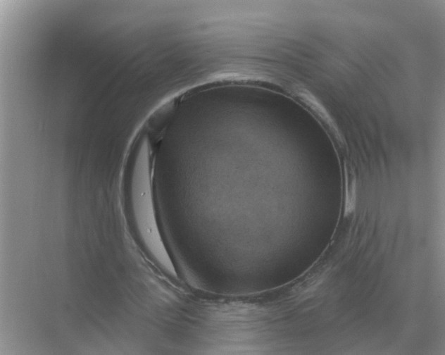 X0000074340387200609230123