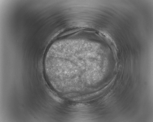 X0000074340390200609230123