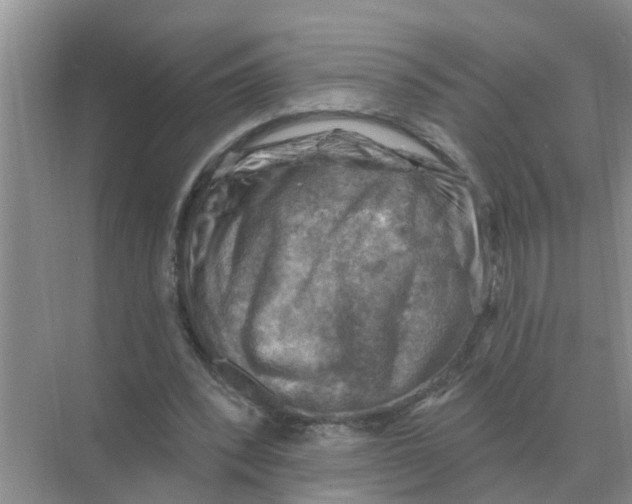 X0000074340392200609230123