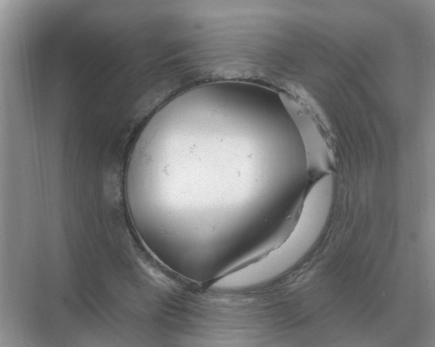 X0000074340393200609230123