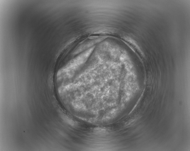 X0000074340394200609230123