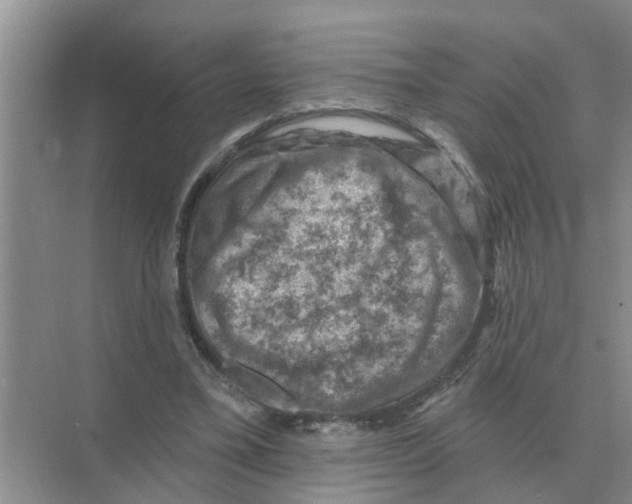 X0000074340395200609230123