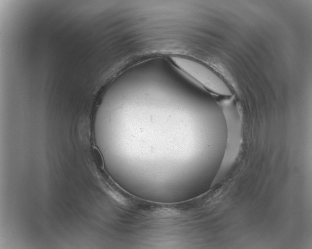 X0000074340397200609230123