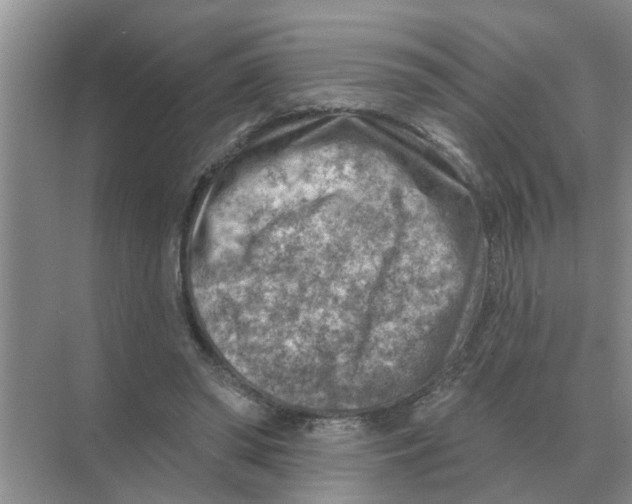 X0000074340398200609230123