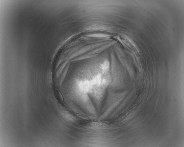 X0000074340399200609230123