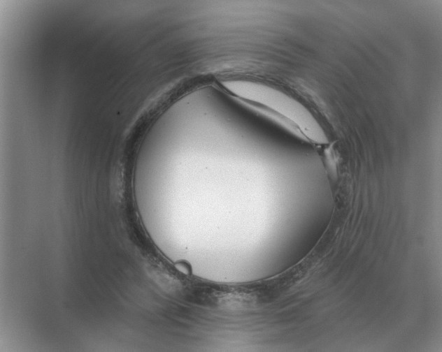 X0000074340400200609230123