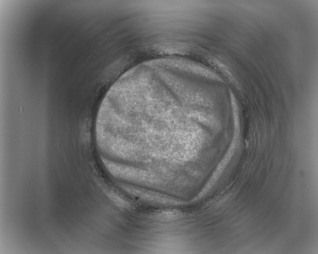 X0000074340402200609230123