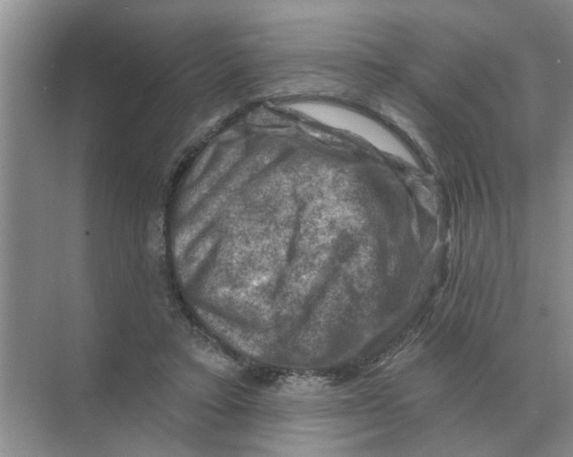 X0000074340403200609230123