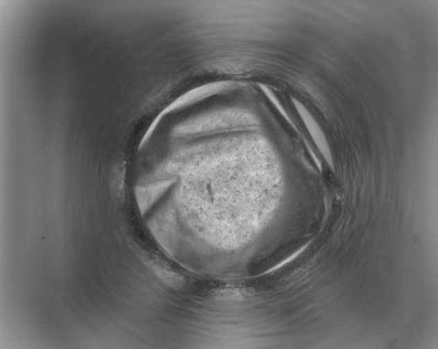 X0000074340404200609230123