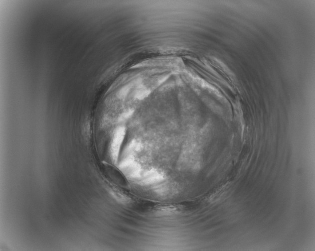 X0000074340405200609230123