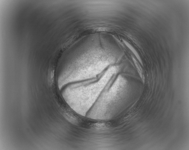 X0000074340406200609230123