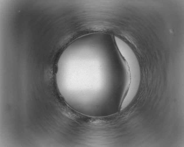 X0000074340407200609230123