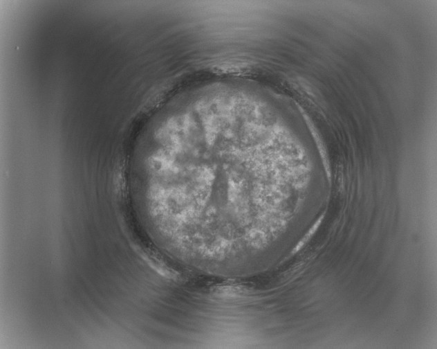 X0000074340408200609230123