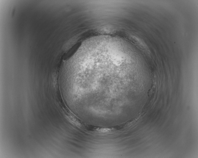 X0000074340409200609230123