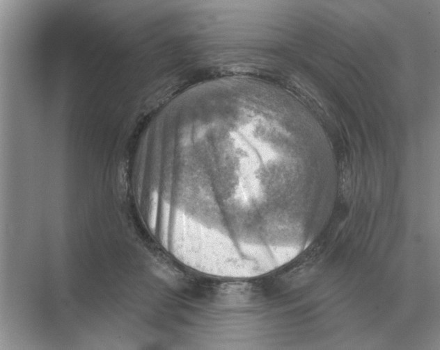 X0000074340410200609230123