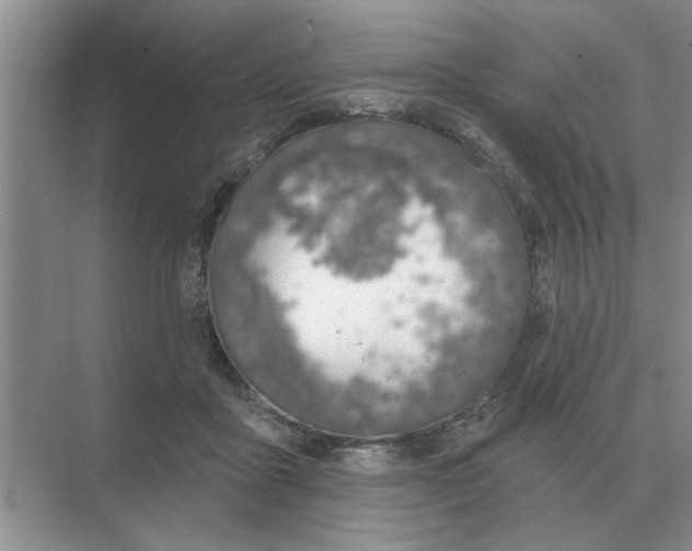 X0000074340411200609230123