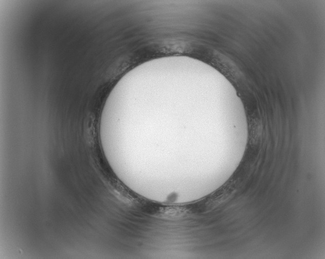 X0000074340414200609230123