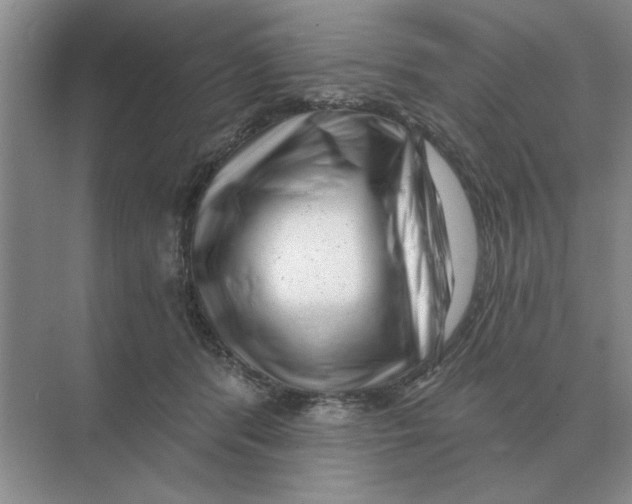 X0000074340416200609230123