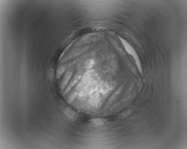 X0000074340417200609230123