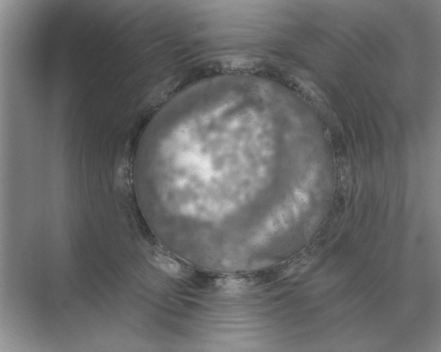 X0000074340419200609230123