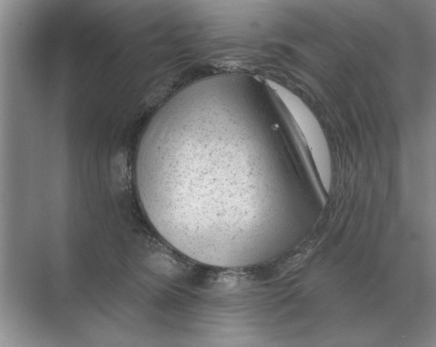 X0000074340420200609230123