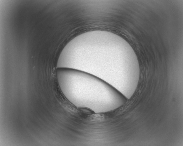 X0000074340421200609230123