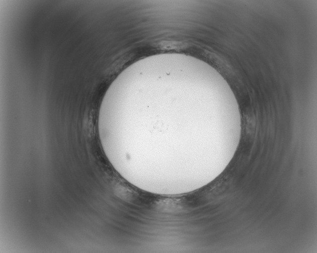 X0000074340422200609230123