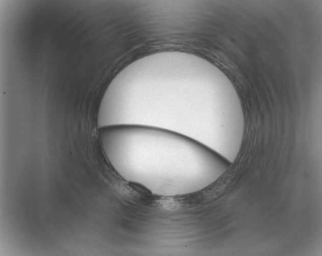 X0000074340425200609230123