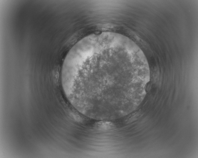 X0000074340427200609230123