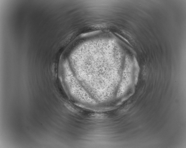 X0000074340428200609230123