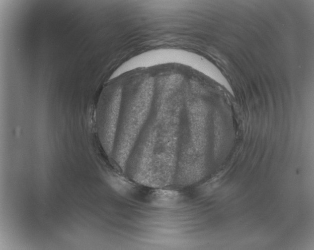 X0000074340429200609230123