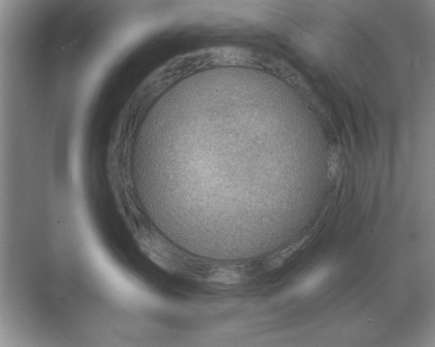 X0000074340431200609230123