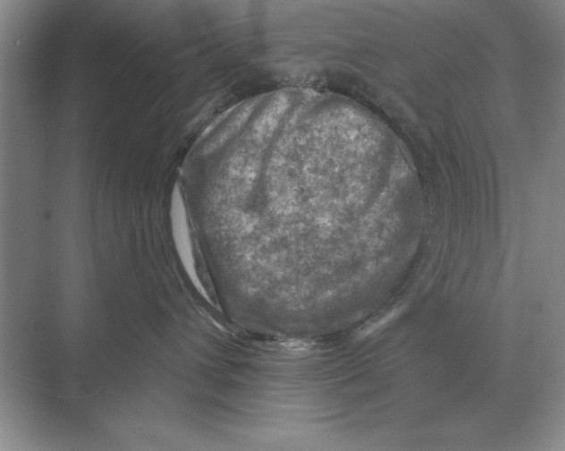 X0000074340432200609230123